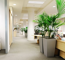 印尼某垃圾處理(lǐ)廠(chǎng)除臭項目方案