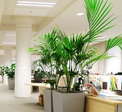 電(diàn)阻式多(duō)點觸感單片控制(zhì)器(qì)